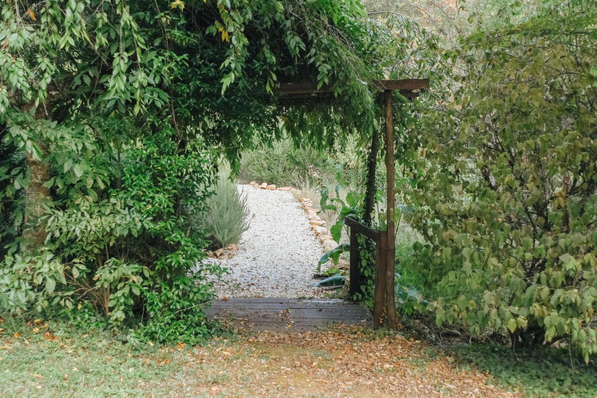 Maison Cistus - Maison D'Hotes De Charme - Suites Et Gite Avec Terrasses Privees - Proche De Sarlat, Au Coeur De La Nature Exterior foto